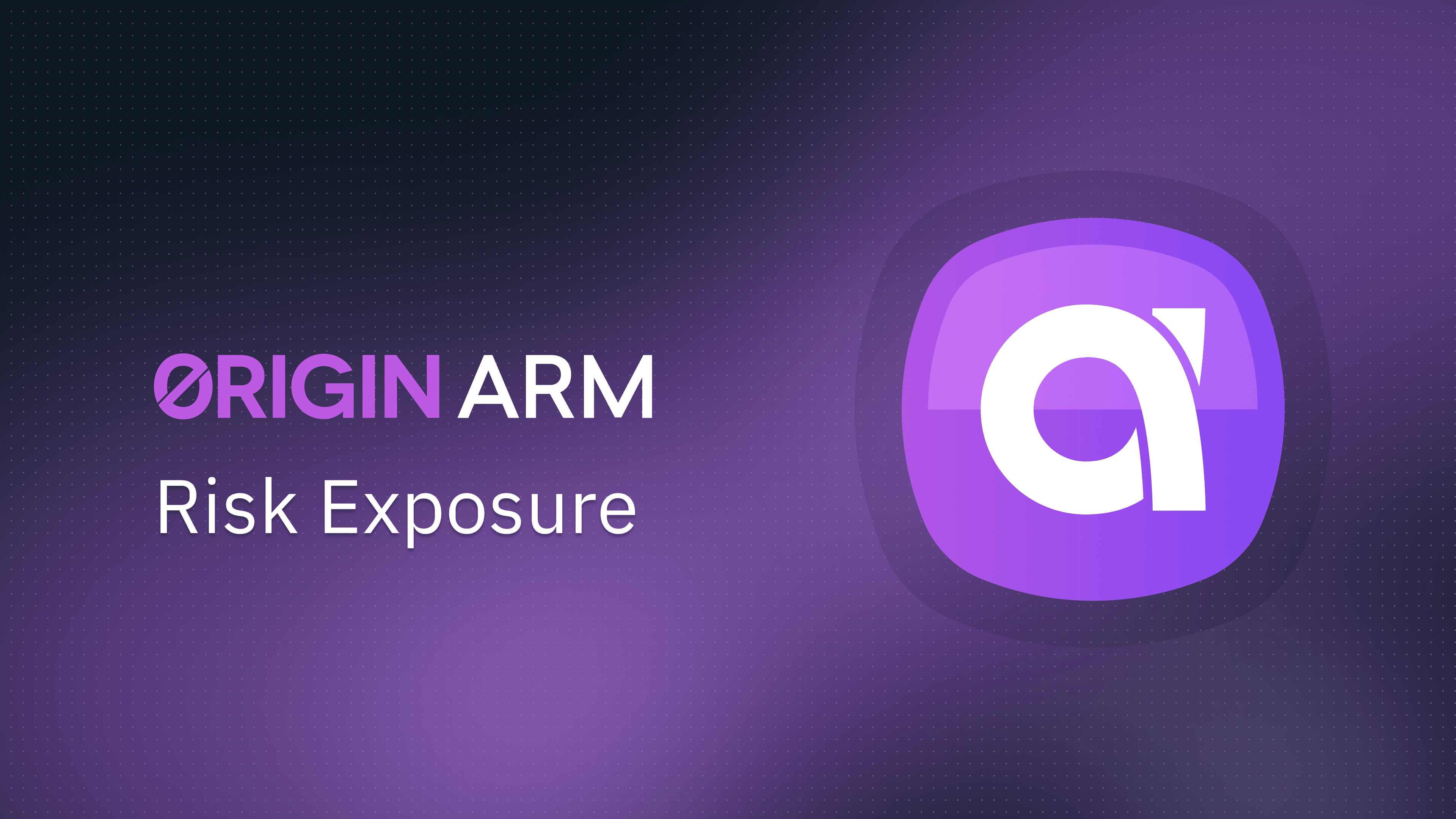 ARM Risk Exposure: Assets, Smart Contracts, and Governance Controls